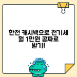 한전 에너지 캐시백으로 월 1만원 아끼는 법