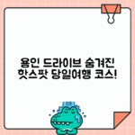 경기 용인 당일치기 드라이브코스 추천
