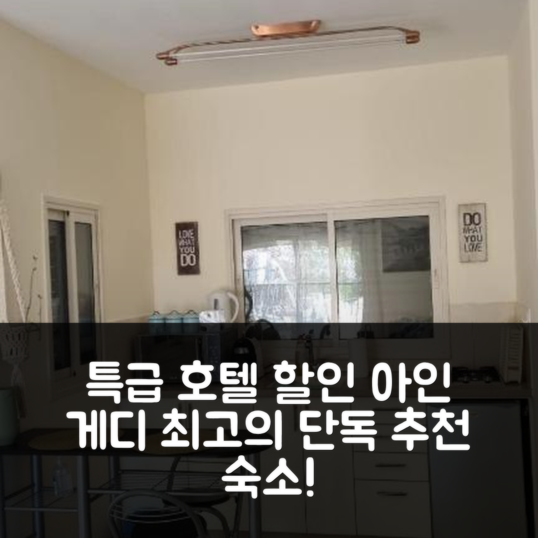 Rivka's Ein Gedi (리브카스 아인 게디) 데드씨 특급 숙소 할인 꿀팁!