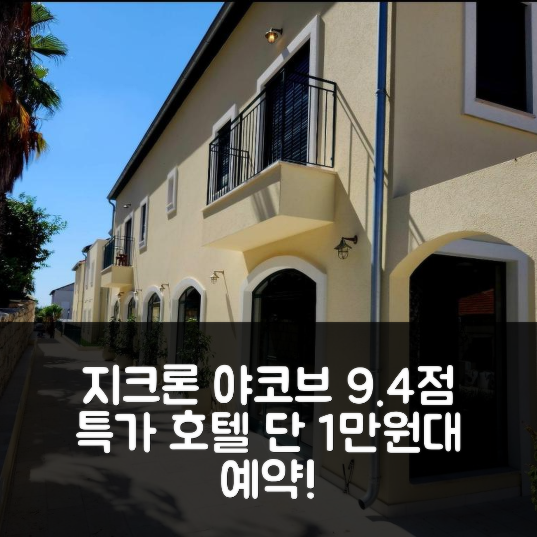 하 메야스딤 36 (여행자 선택) 지크론 야코브 9.4점 특가 예약 꿀팁