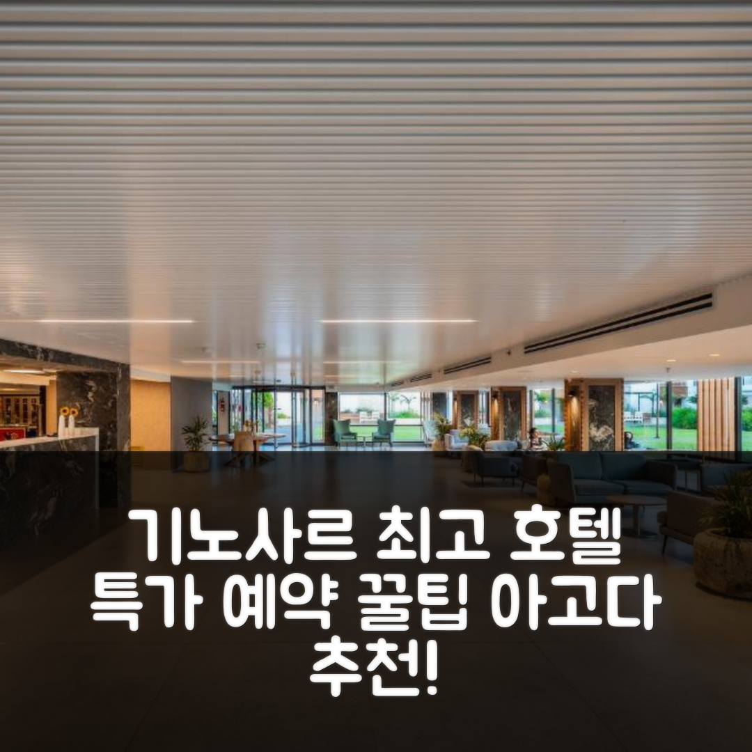 노프 기노사르 키부츠 호텔 (기노사르) 액티비티 최고 특가 예약 꿀팁