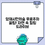 양재시민의숲역 주차 - 자연휴양림 이용 시 무료주차 혜택