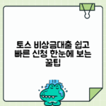토스 비상금대출 신청 가이드 - 조건과 연장 방법 총정리