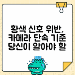 황색 신호 적색 카메라 단속 기준 및 안내