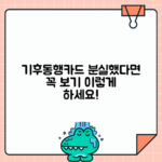 기후동행카드 분실 시 재발급 - 잔액 환불과 새 카드 신청 방법