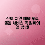 산모 신생아 건강관리 지원금 | 산후조리 도우미 지원사업 이용방법