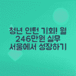 서울 청년 예비인턴 2025 월 246만 원으로 실무 경험 쌓기