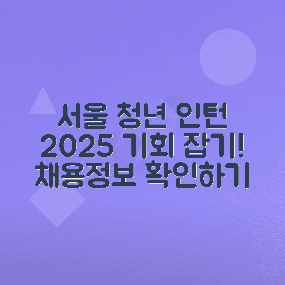 서울청년 예비인턴 2025 신청 일정, 직무 안내 총정리