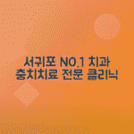 제주 서귀포 충치치료 치과 정보