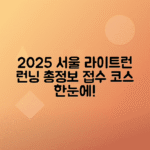 2025 서울 라이트런 접수 방법, 일정, 굿즈 코스 안내 총정리