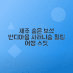 6월 제주도 비밀 숲 여행지 반디마을, 사려니숲 추천