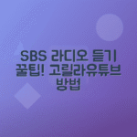 SBS 라디오 실시간 듣기 방법, 고릴라 앱과 유튜브 활용 가이드