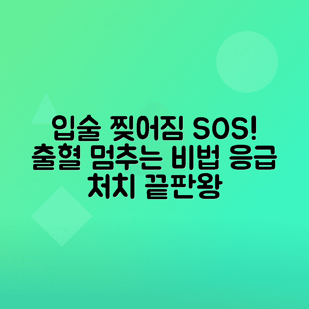 jene-stephaniuk-lkmGeyLItrw-unsplash-ls 입술 찢어짐 응급처치, 출혈 멈추는 법과 연고 추천