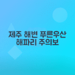 제주 바다에 대량 출몰한 푸른우산관해파리 해수욕장 정보