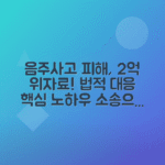 음주운전 사고 민사소송의 이점, 위자료 최대 2억 받는 방법