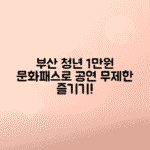 부산 청년만원 문화패스로 1만 원으로 공연 즐기는 방법