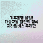 기후동행카드 사용법 총정리 - 지하철, 버스, 따릉이 할인 혜택 활용