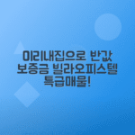 미리내집 반값 보증금으로 149가구 빌라와 오피스텔 구매하기