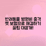 반려동물 병원비 현실과 펫 보험 가입 팁 알아보기