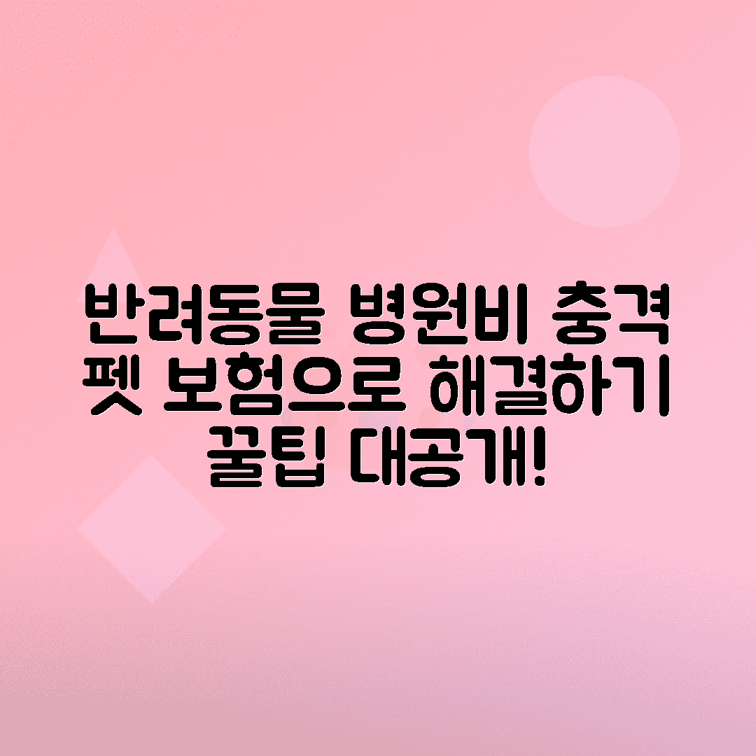 반려동물 병원비 현실과 펫 보험 가입 팁 알아보기