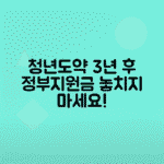 청년도약계좌 중도해지 후 3년 경과 시 정부지원금 수령 가능성