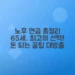 2025년 기초연금과 노령연금 비교로 65세 이상 유리한 선택법