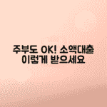 소득 없는 가정주부 소액 대출 이용 방법